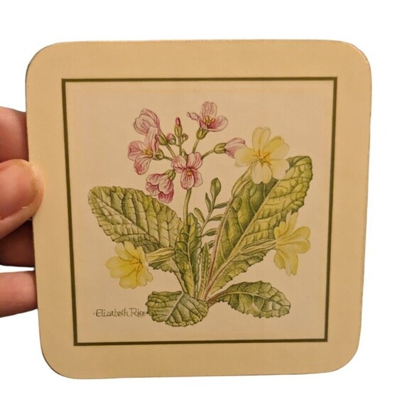 Clover Leaf Melamine Cork Back Botanical Table Mats Boxed Set of 6 - UK VTG MCM - Picture 10 of 16